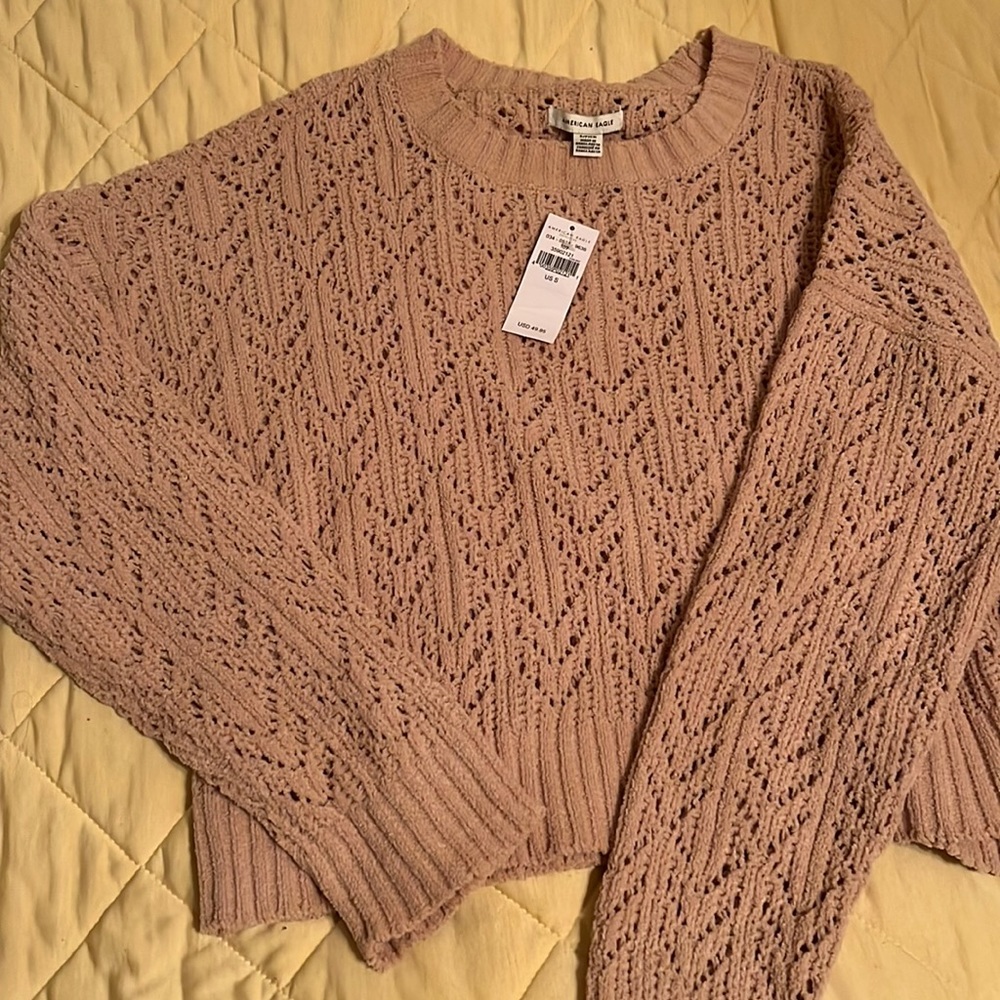 American Eagle Cropped Sweater